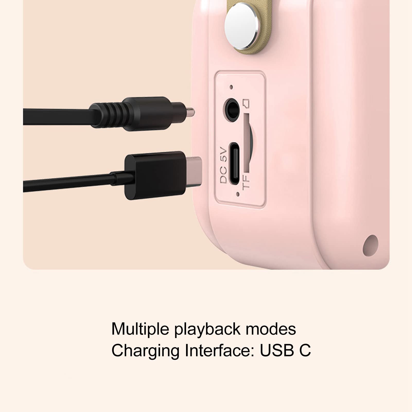 Mini Macchina per Karaoke con Set di Microfoni Wireless, Altoparlante Bluetooth retrò Portatile Rosa, Supporto AUX, Scheda TF, per Feste per Bambini e Adulti