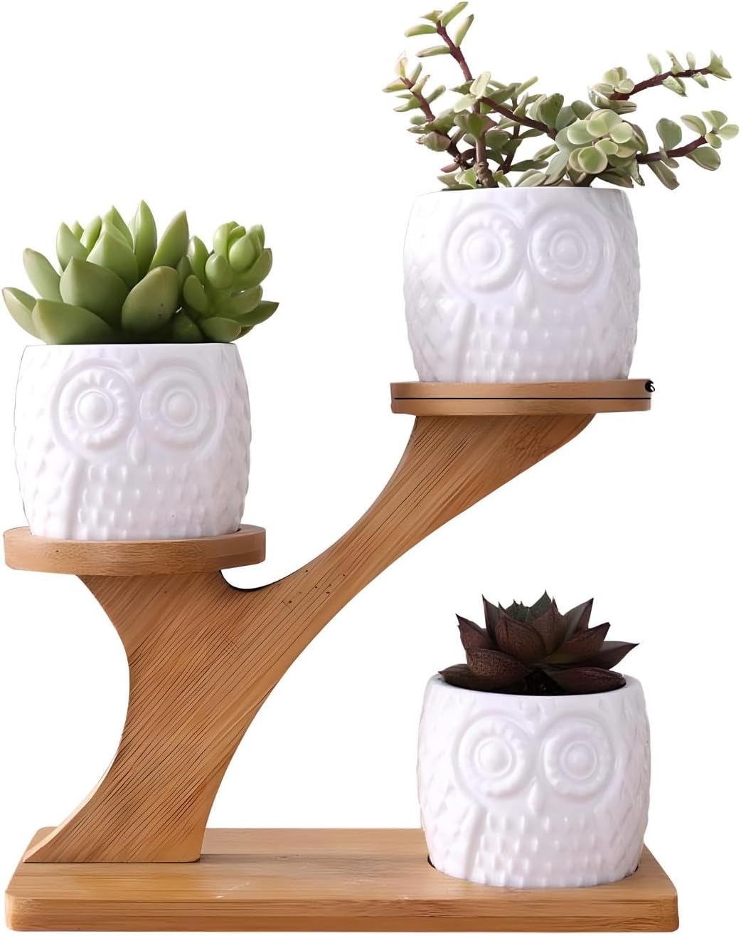 3 Pack Owl Succulent Plant Pots Ceramic Garden Plant Pots Mini Flower Pots with Bamboo Tray for Home Office Desk (Three piece)