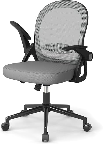 naspaluro Home Office Chair Ergonomic Desk Chair - Dark Grey