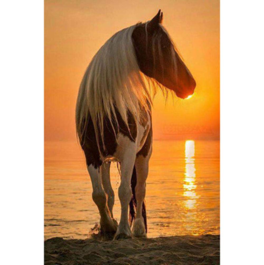 Broderie diamant cheval au coucher de soleil kit complet 50x60cm strass carrés