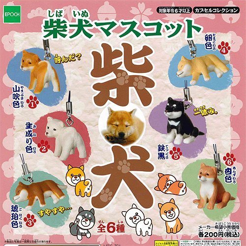 C106 舐めた犬 まとめ本　マスコット　セット Amazon | 柴犬マスコット 全6種セット エポック社 ガチャポン