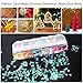 48 Boxes Holographic Nail Sequins, FITDON Shell Round Star Leaf Butterfly Iridescent Flake Nail Glitter, Colorful Confetti Sticker Manicure Nail Art Supplies Make Up DIY Decals Decoration