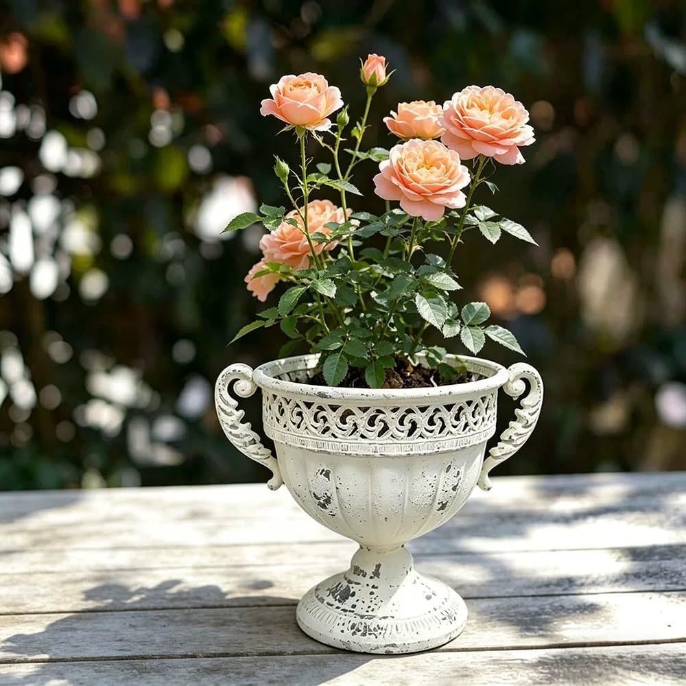 Vintage Distressed Iron Urn Planter, White, Antique Trophy Cup Style with Ornate Handles, 10.6 x 8.7 Inch