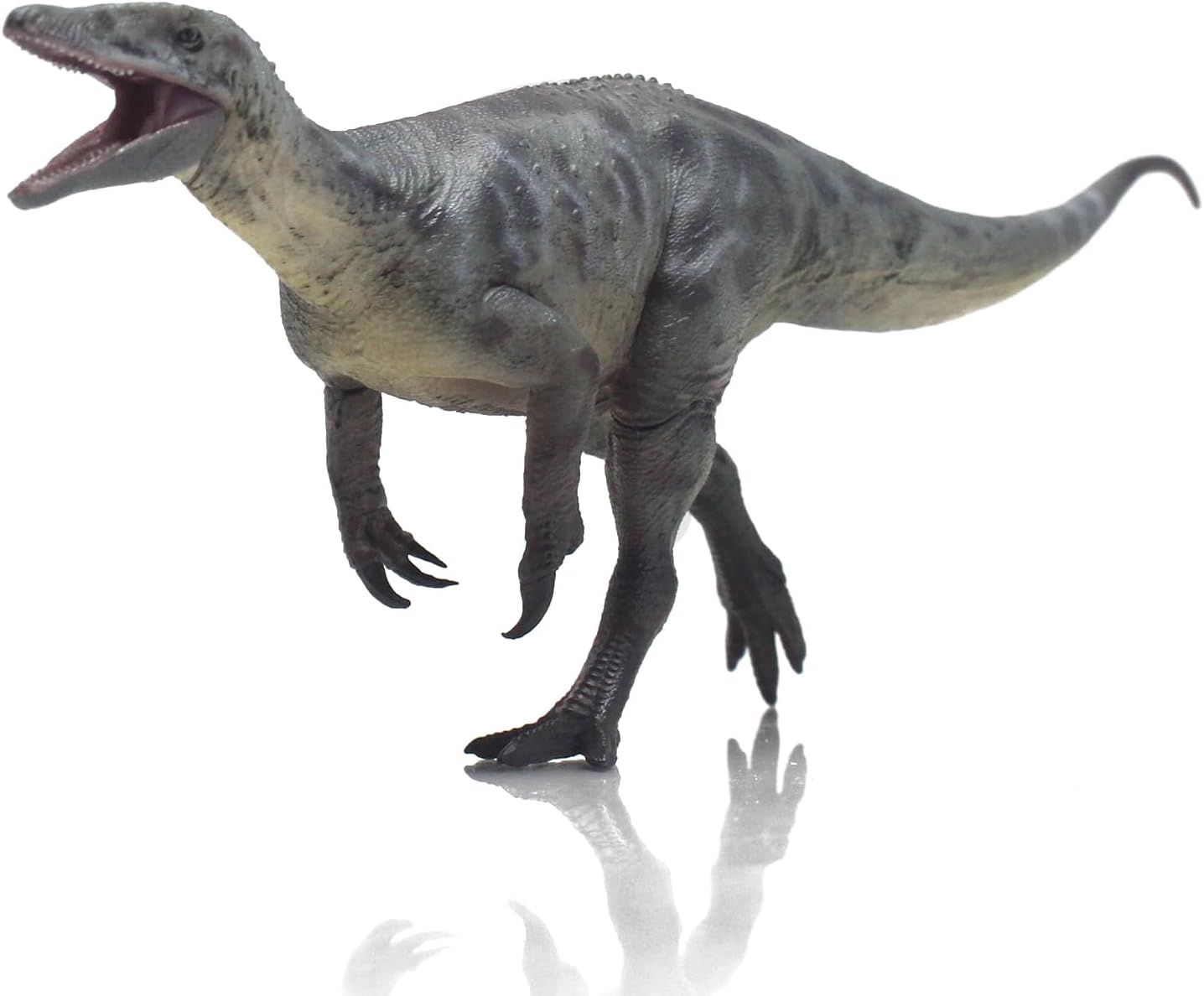 Megaraptor 1:35 Scientific Restoration Dinosaur Model