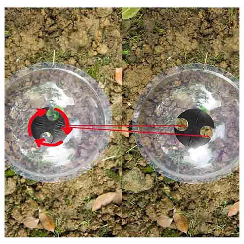 Campana para Plantas de Jardín, Tapa de Campana en Forma de Cúpula Transparente para Plantas, Campanas de propagación 6 Piezas para Calentamiento