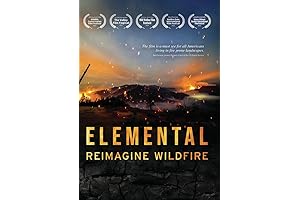 Elemental: Reimagine Wildfire [DVD]