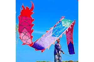 Mystical Rainbow Dragon Dance Poi for Fitness and Flow Arts