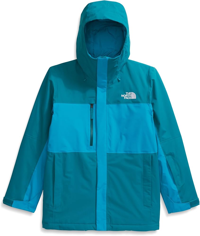 Amazon.com: The North Face Men's Freedom Insulated Jacket