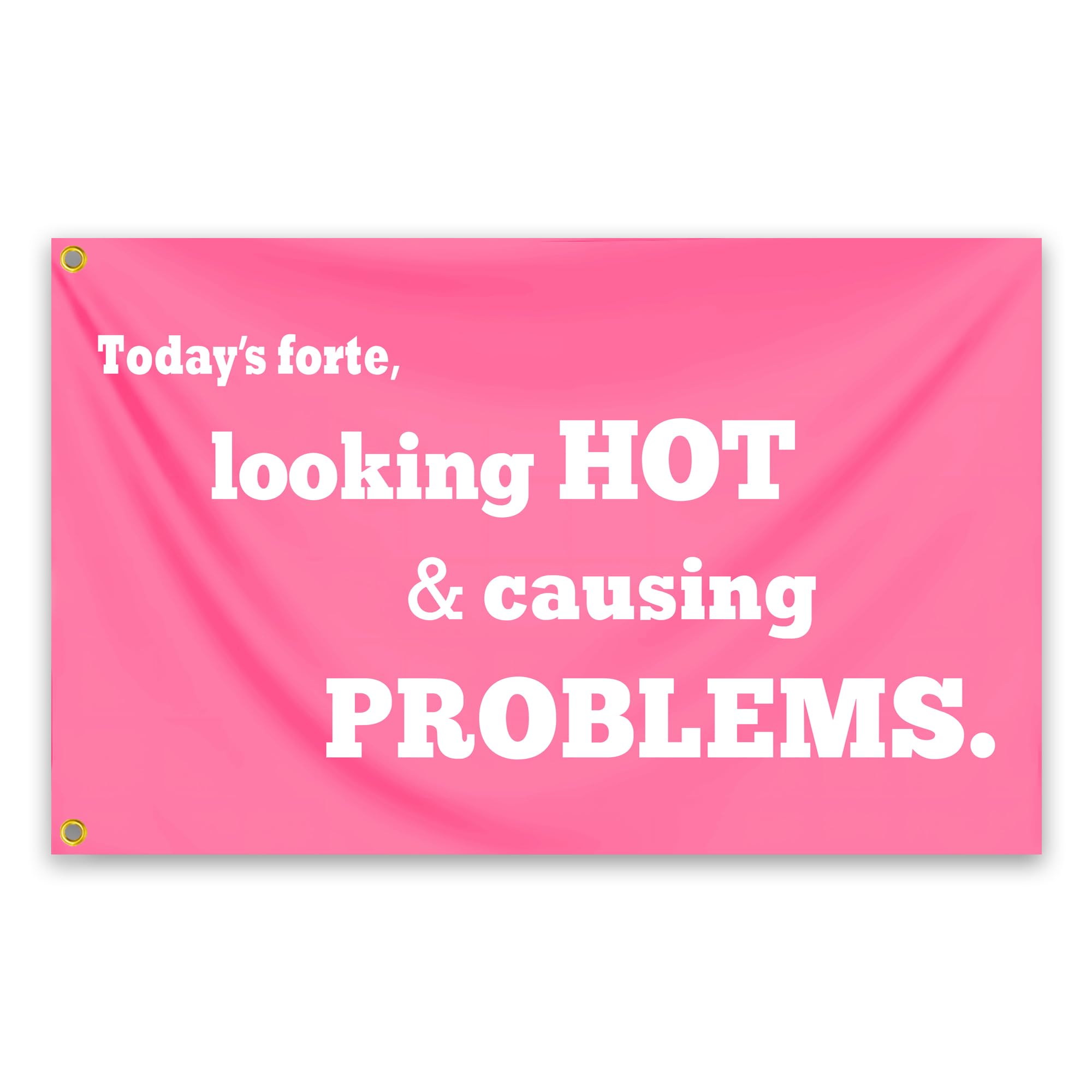 Amazon.com : Looking Hot & Causing Problems Flag 3x5 Ft Funny Pink ...