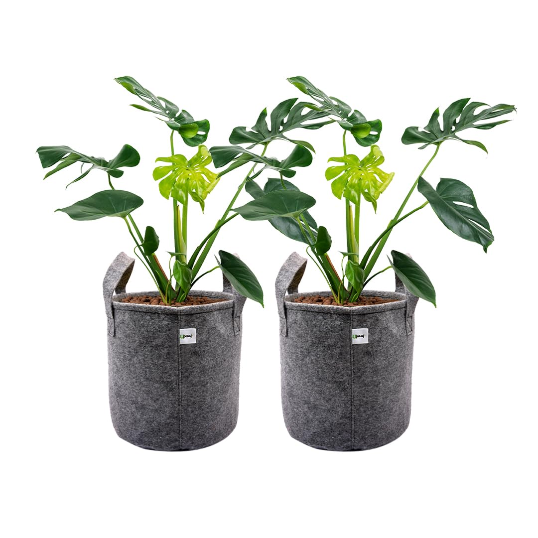 UPAAJ Premium Geo Fabric Grow Bags 12x12 inch | Garden Bags for Plants | Growbag or Terrace Garden Setup | Plant Bags for Home Garden | Grow Bag | Grow Bags for Plants | Growbags Pack of 5 (Grey) (B0D78QS9ZW) Amazon Price History, Amazon Price Tracker