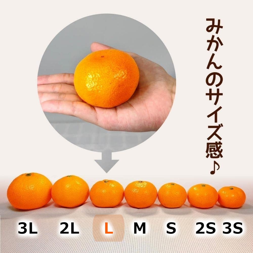 Amazon.co.jp: みかん Lサイズ 秀品 箱込 10kg (内容量約 9.2kg)［先行