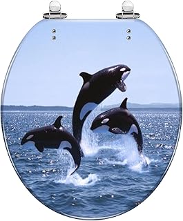 Round Toilet Seat Killer Whale Adults Calf Leaping Canada Resin Toilet Seat Quietly Slow Close with Quick-Release Hinges Toilet Seat with Cover Easy to Clean Install