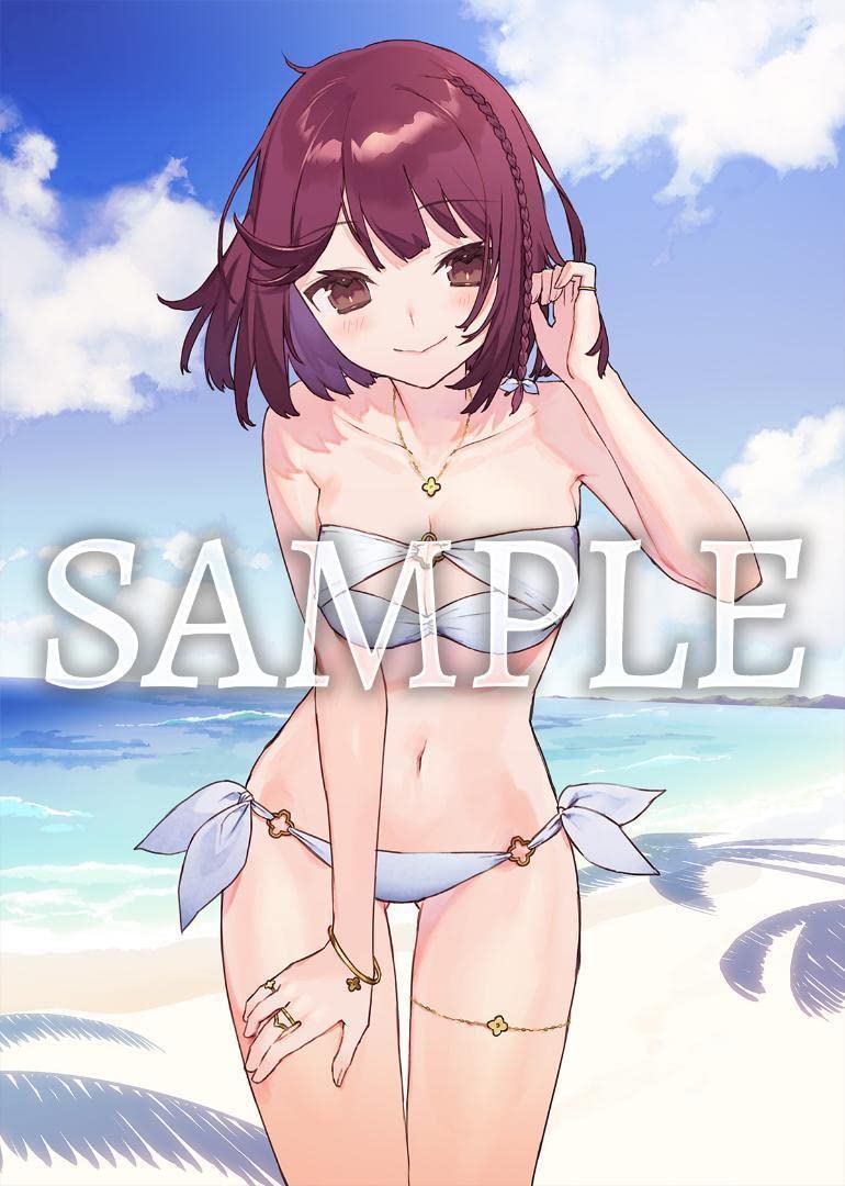 Amazon.co.jp: ソフィーのアトリエ2 描き下ろしA4キャラファイングラフ