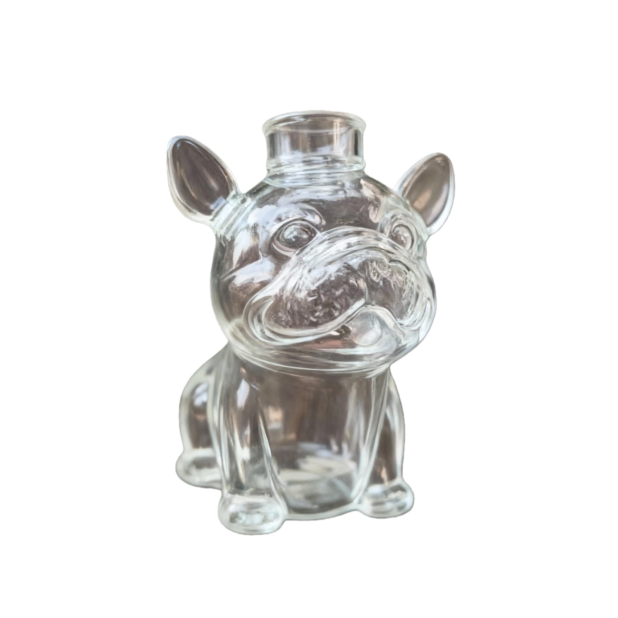 HDOYTXXM Glass Treat Container Leakproof Can Candy Jar for Pet Snacks Countertops Organizers Dog Themed Housewarming Gift Dog Treat Storage Container