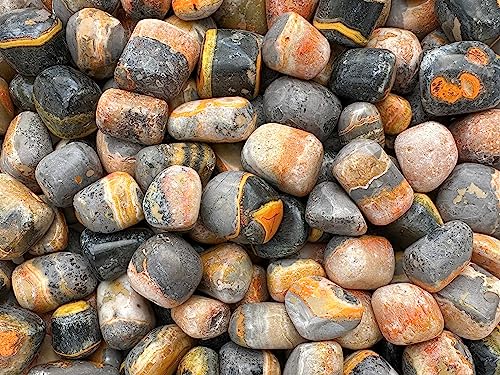 Image of 1 /2 LB Bumble Bee Jasper Tumbled Stones, Polished Bumble Bee Jasper Gemstone, Bumble Bee Jasper Healing Crystals (Bumble Bee Jasper)