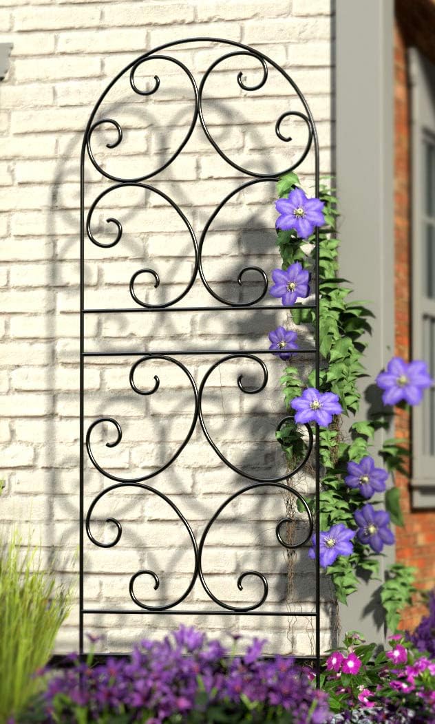 BestNest Panacea 84401 Scroll Trellises – Pack of 2 Arched Metal Garden Trellis Panels, 72" H x 24" W – Black Powder-Coated Steel Plant Supports for Climbing Flowers, Vines & Outdoor Decorative Use