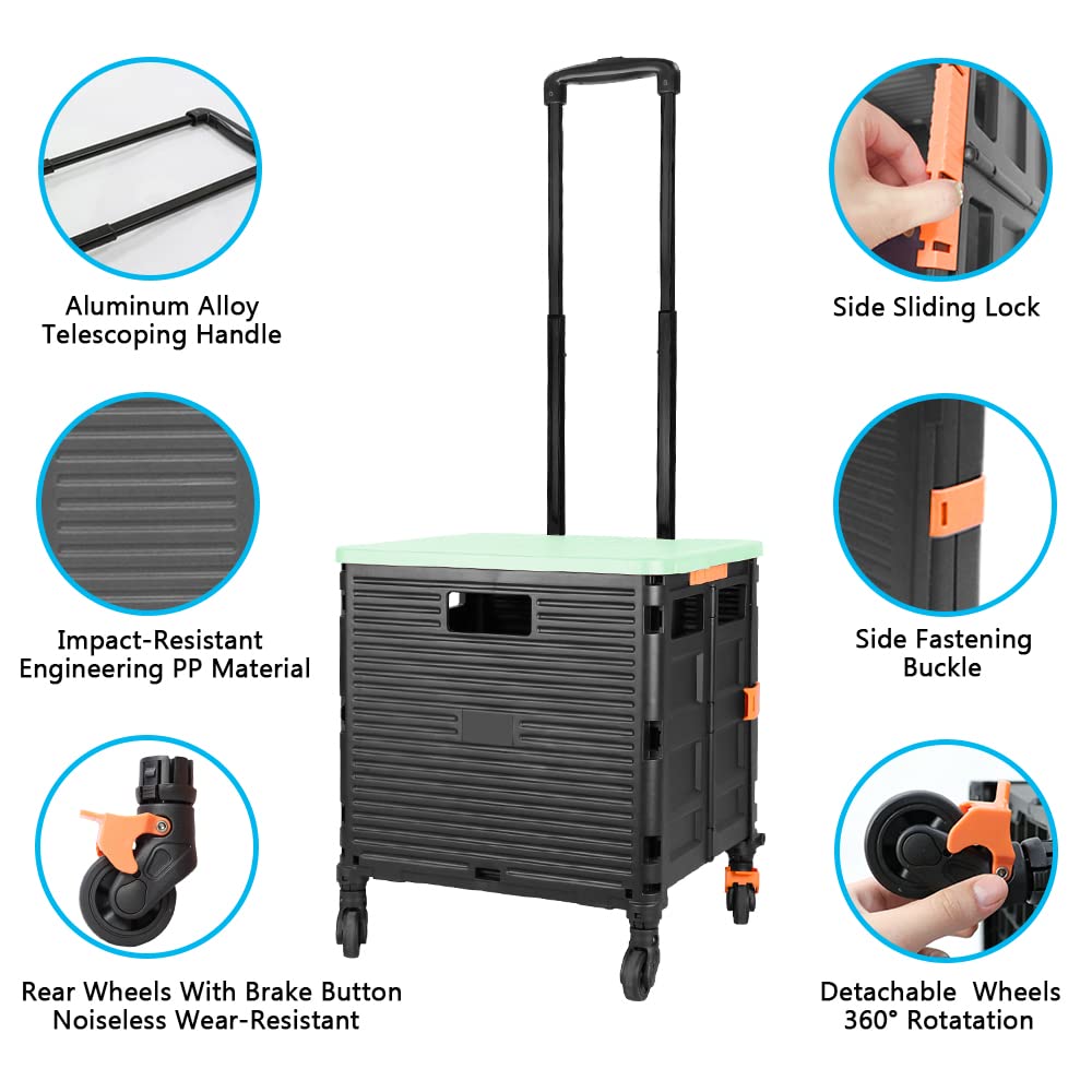 Carrello Spesa Pieghevole 4 Ruote, 1.93Cu ft/100Lbs Alta Capacità Tirante Retrattile in Acciaio Inossidabile Ruote Girevoli a 360° Rimovibili per Picnic Viaggiare Conservazione, Verde