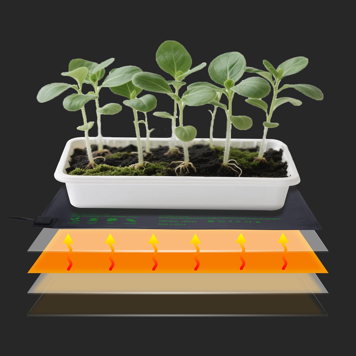 AIICIOO 2 Pack Seedling Heat Mats 10"x 20.75" Warm Hydroponic Heating Pad for Indoor Gardening, Seed Starting Germination, Greenhouse, Brewing