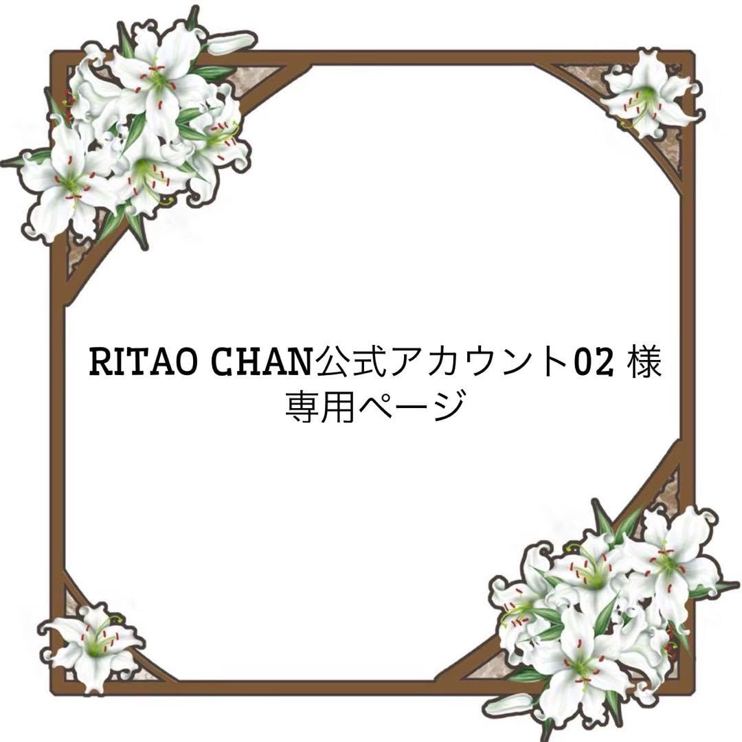 Amazon.co.jp: RITAO CHAN公式アカウント02 様 ページ : おもちゃ