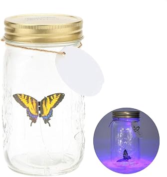 Butterfly in a Jar, Glass Animated Butterfly In A Jar With LED Light Gift Decoration Yellow