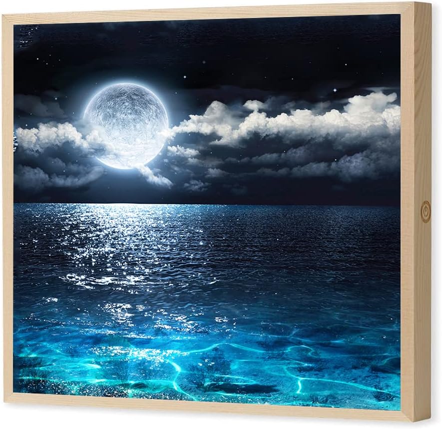 Amazon.com: LED Canvas Wall Art prints 