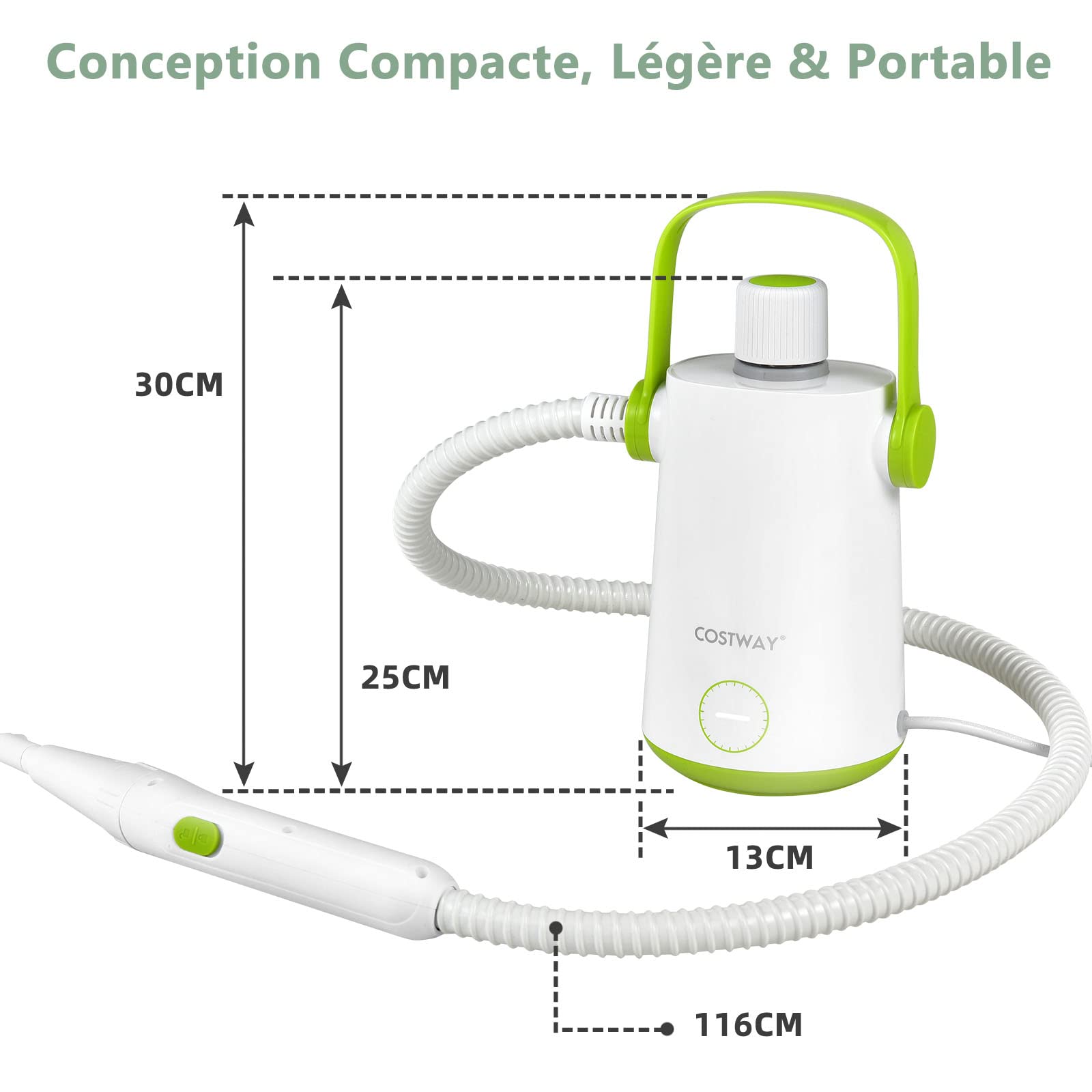 COSTWAY Nettoyeur à Vapeur à Main Portable 1000W avec Réservoir d'Eau de 300 ml, Machine de Nettoyage 10 Accessoires avec tuyau 116CM et cordon 3M, pour Vêtements Vitres Pneus (Blanc + Vert)