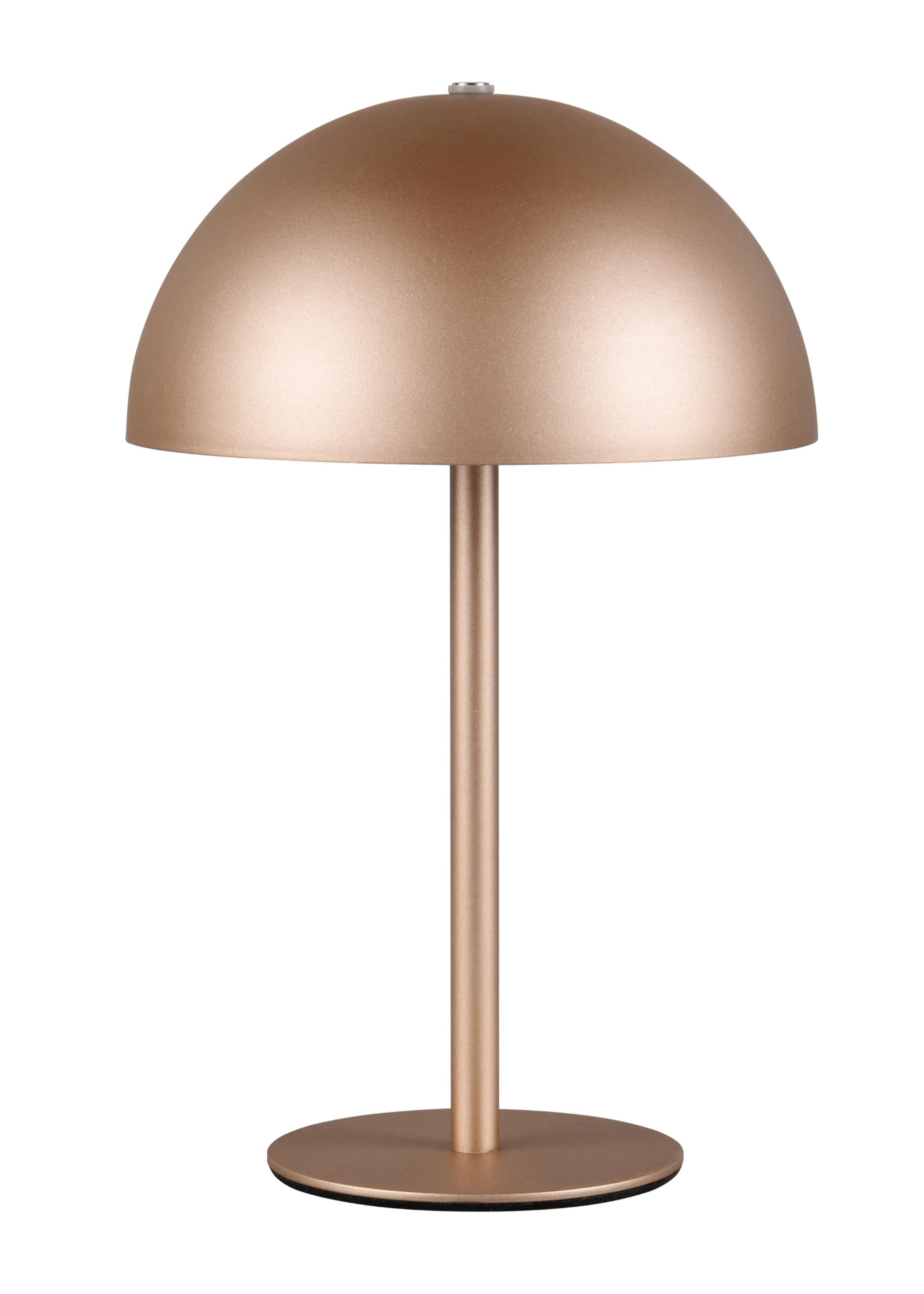 Reality Leuchten Munoz R54891165 LED Battery Table Lamp Metal Coffee with 1.3 Watt LED, 4-Way Touch
