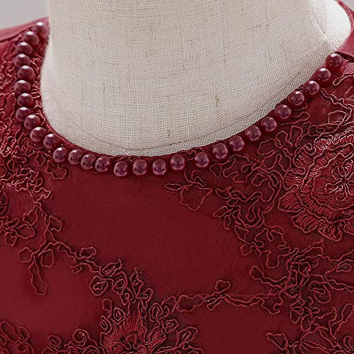 Dressy Daisy Baby Girls Wedding Flower Girl Dress Lace Pageant Gown Special Occasion Birthday Tulle Skirt Size 6-12 Months Burgundy 425 #TOP3