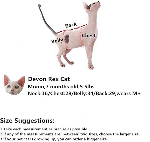 Miniatura 5 de Ropa de gatos sin pelo, vestido de encaje floral bordado, vestido de verano transpirable sin mangas, camisola, falda sin mangas para Sphynx, Cornish