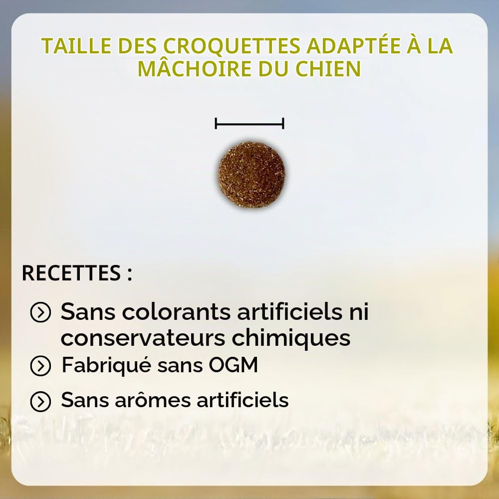 NUTRIVET - Premium Master Junior - Croquettes pour Chiot à Activité Normale - Poulet & Riz - 15kg