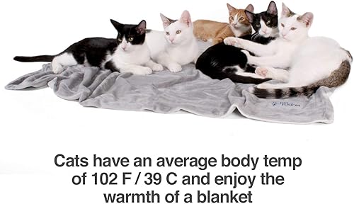 Miniatura 7 de PetFusion Manta prémium para perros y gatos, manta ultrasuave para mascotas disponible en felpa o acolchada, 2 colores (gris, marrón)  Manta