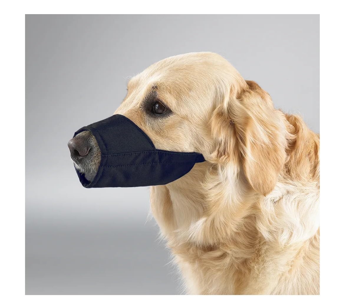 Dog or Cat Comfortably Padded Black Nylon Lined Muzzle Strong 12 (Size 5XL)