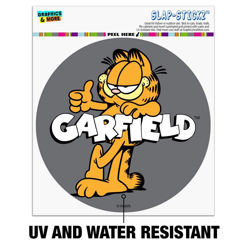 Amazon.com - Garfield with Logo Automotive Car Window Locker