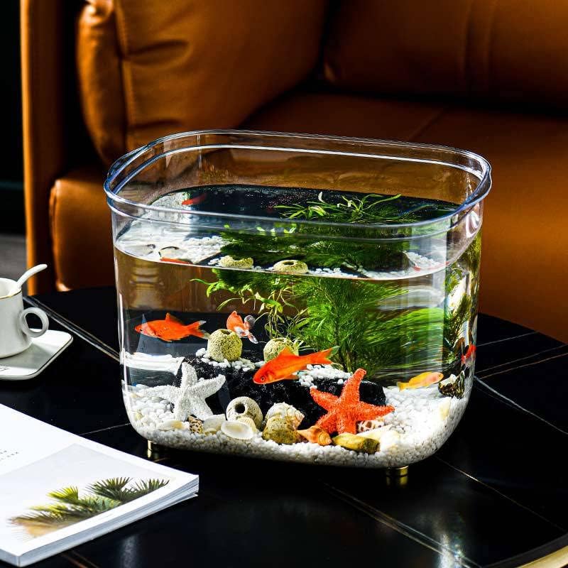 Amazon | 金魚鉢 水槽 飼育水槽 プラスチック テラリウム 透明アクリル
