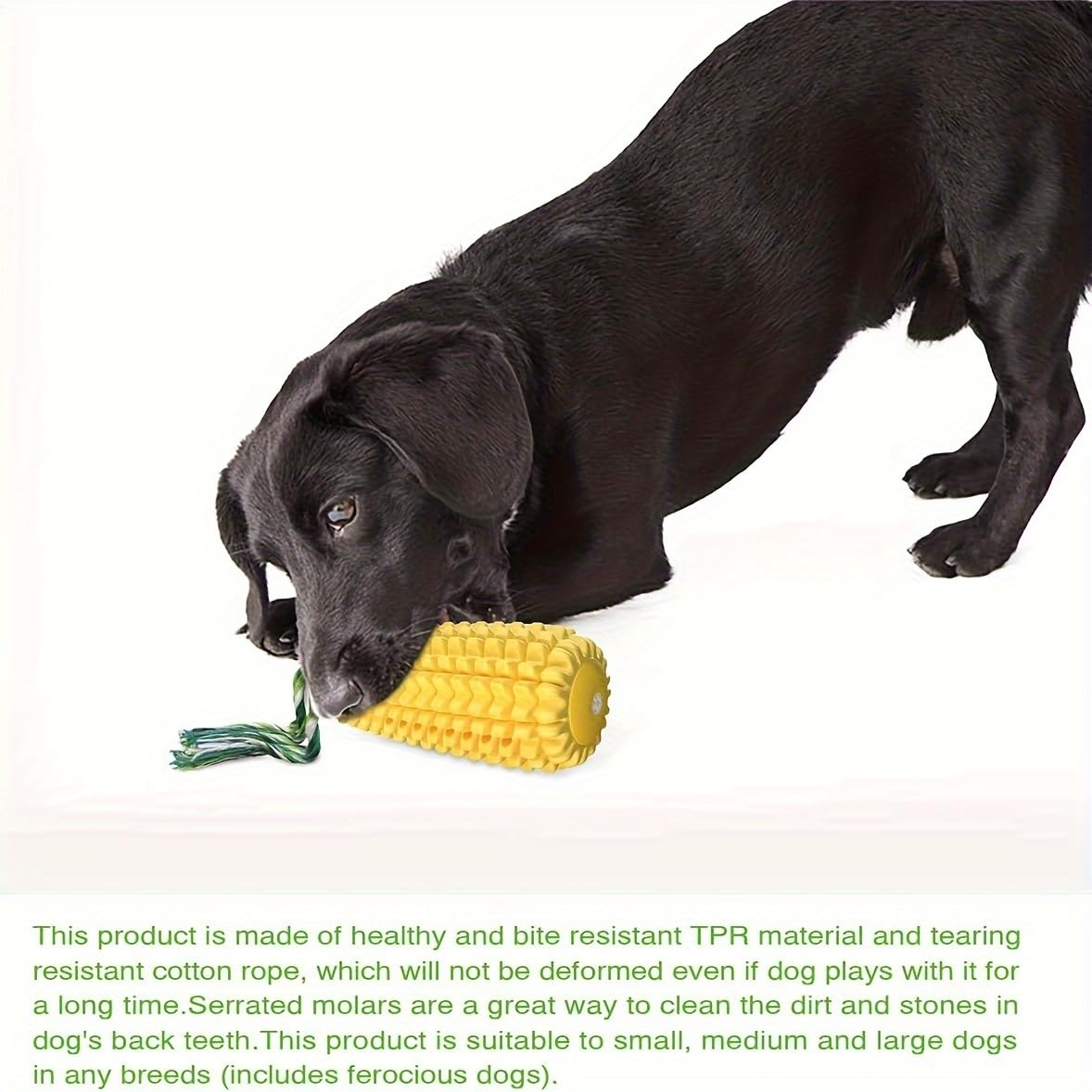 Jouets for Chiens for mâcheurs agressifs, Jouets interactifs couineurs indestructibles et durables for Chiens, adaptés aux Petits et Grands(Can Make Sounds)
