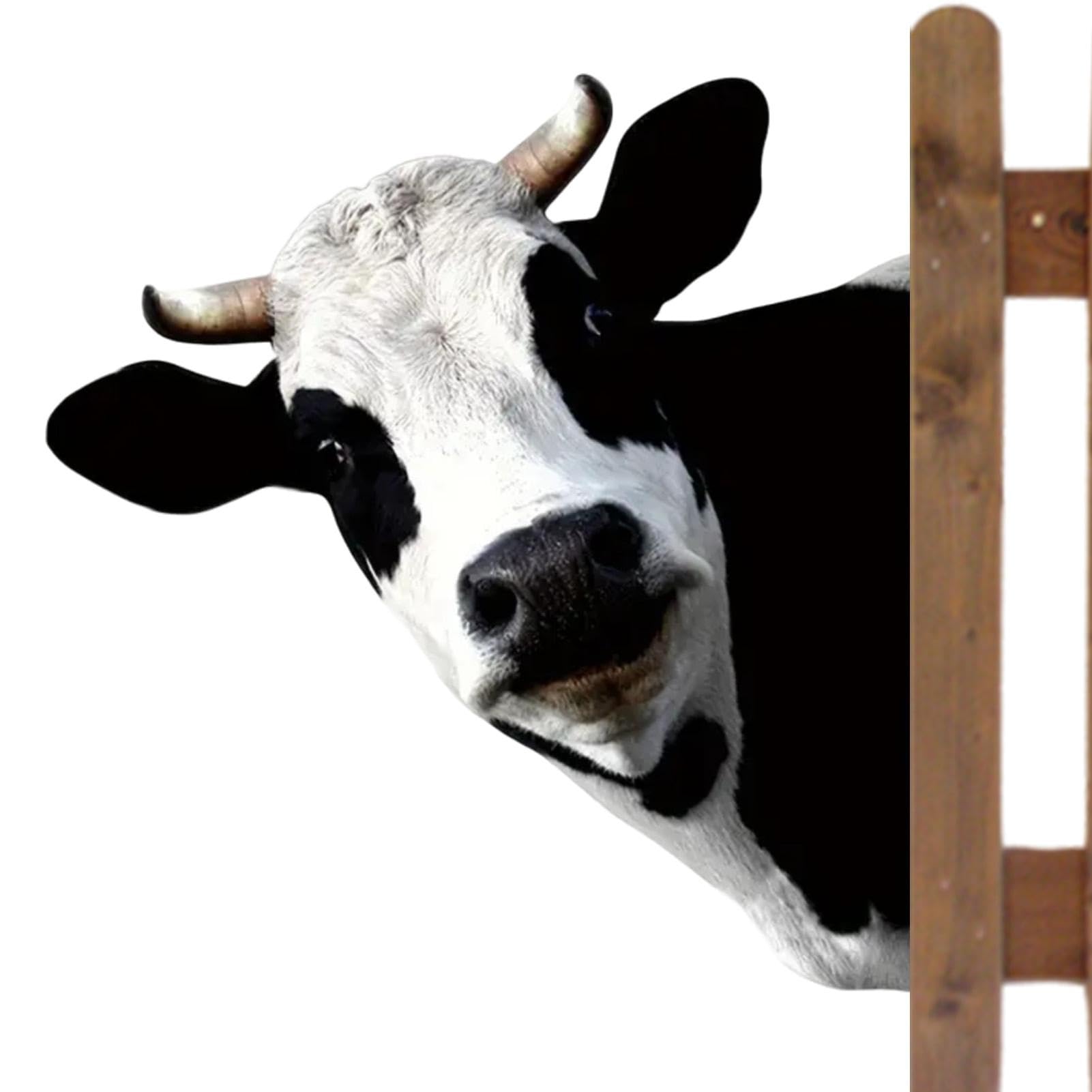 Amazon.co.jp: 牛の頭の形の鉄のシルエット、覗く牛,芝生の装飾面白い