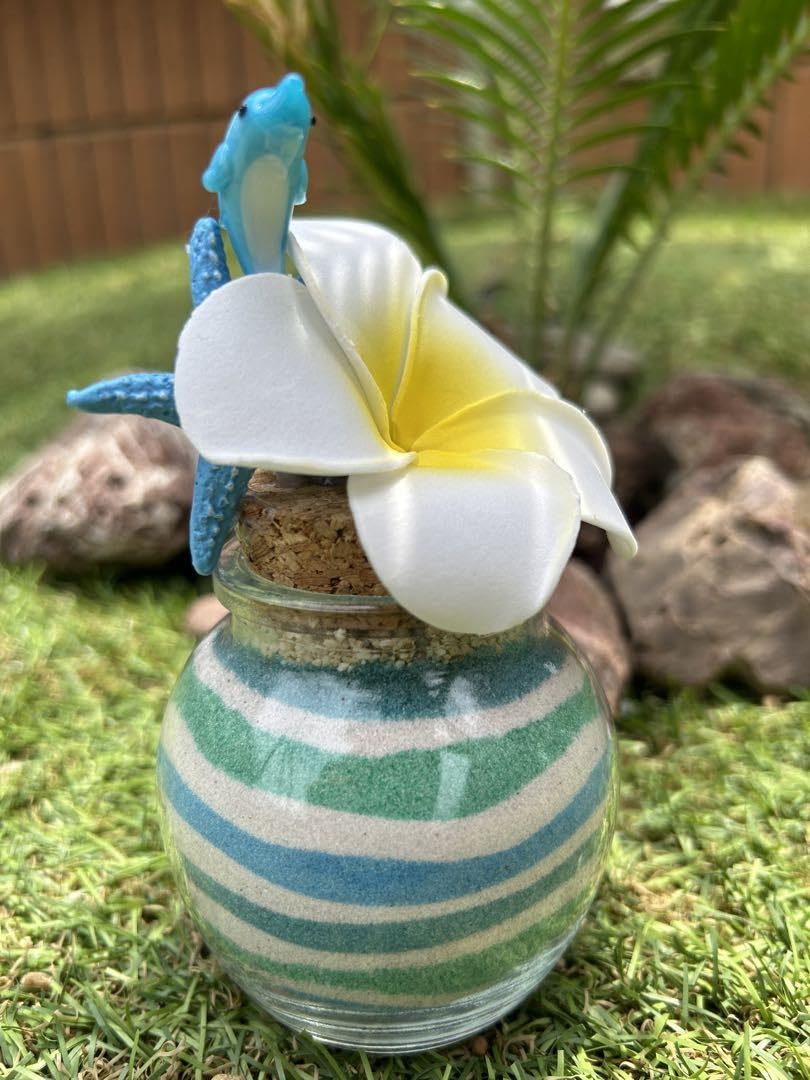 Amazon.co.jp: カラーサンドアート ビーチ ハワイアン 夏