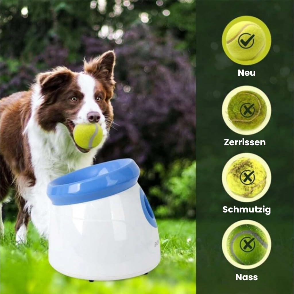 BOT automatischer Ballwerfer Ifetch, inkl. 3Stk Hundebälle. Interaktives Hundespielzeug Ballwurfmaschine kleine Hunde (Mini 5cm - Blue)