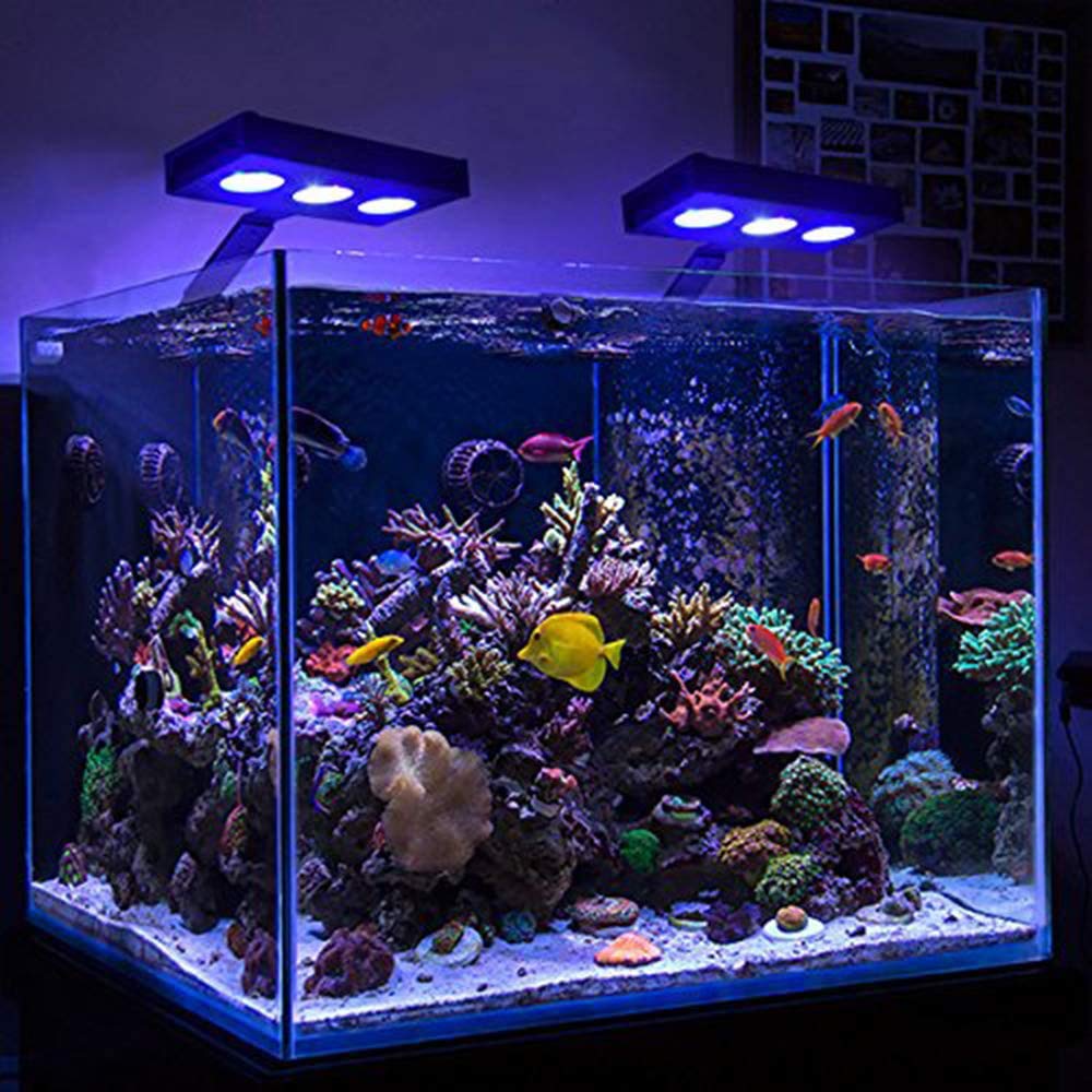 Amazon.co.jp: LED水族館ライト - 水族館LEDライト 30 W 海水照明