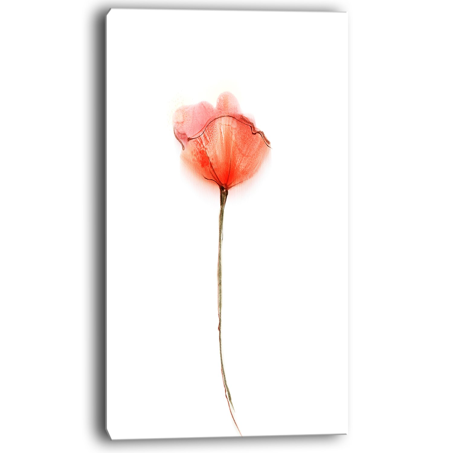 Design Art PT10310-20-40 Watercolor Red Poppy Large Flower Canvas Wall Art-20X40, 20x40
