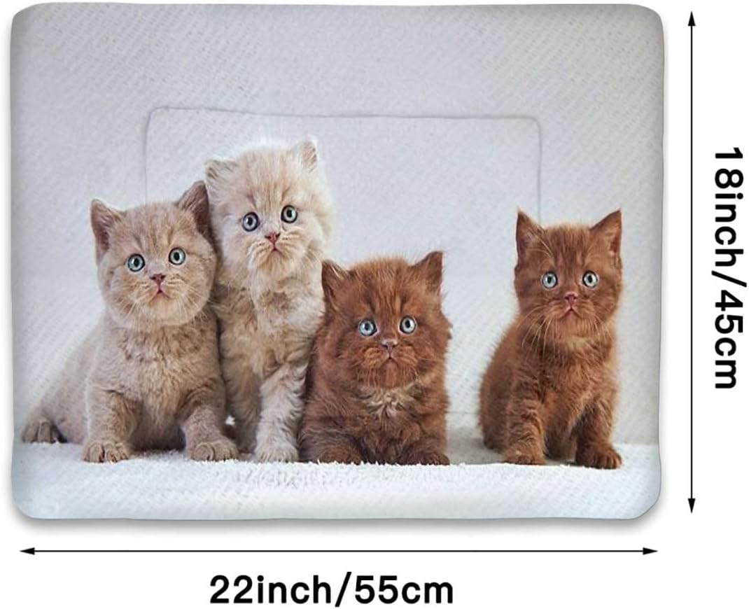 review Caramel White Durable Reversible Pet Blanket Hipster Cat Cute Kitten Feline for Bed, Couch, Sofa, Travel,Washable & Lightweight Animal 18
