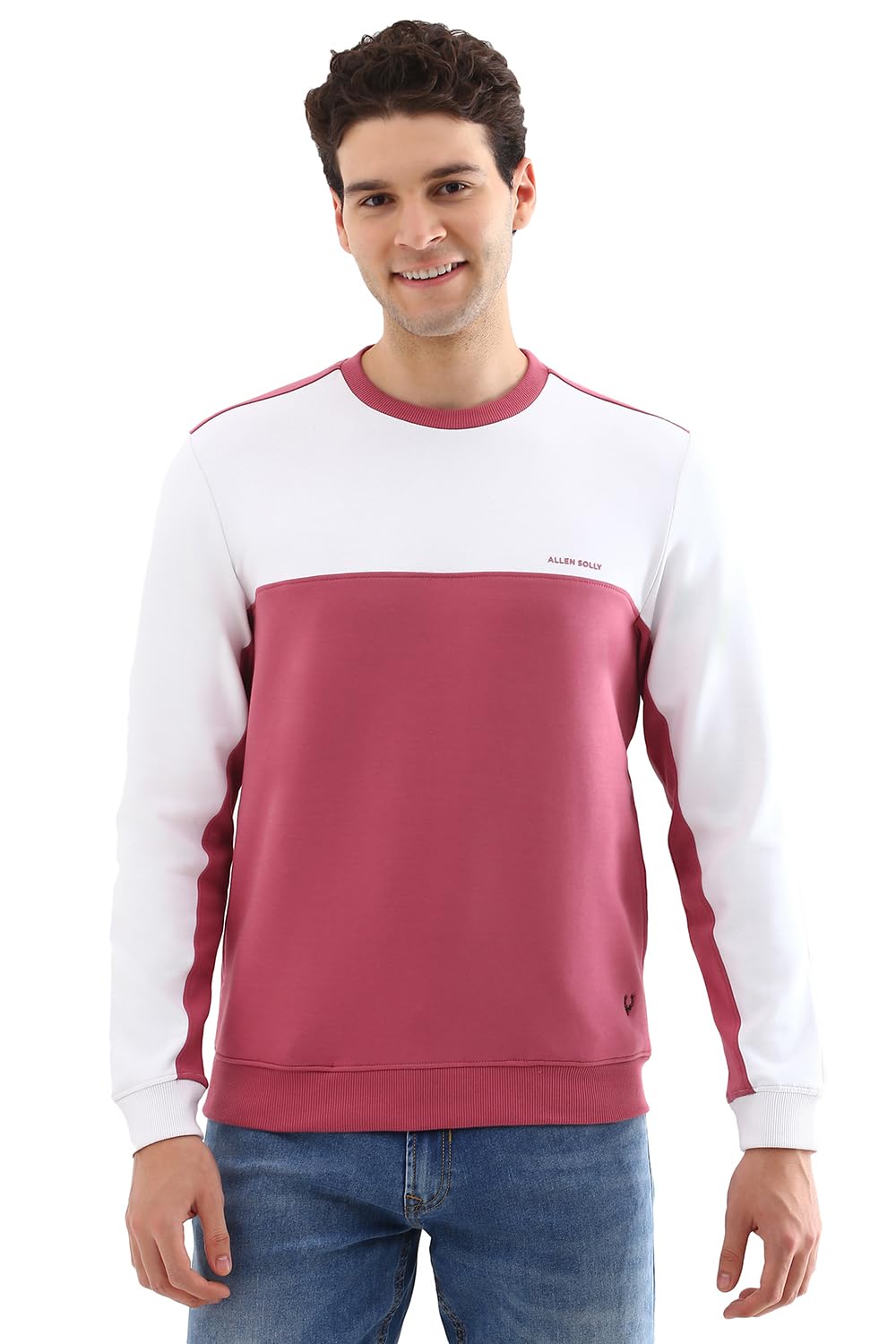 allen solly Men Cotton Crew Neck Full Sleeves Casual Sweatshirt-picture-58