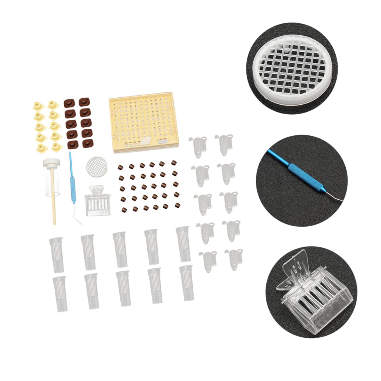 Incubateur Pour Système Délevage De Reines Kit De Coupelles Pour Cellules Dabeilles Incubateur Mobile Pour Système Délevage De Reines