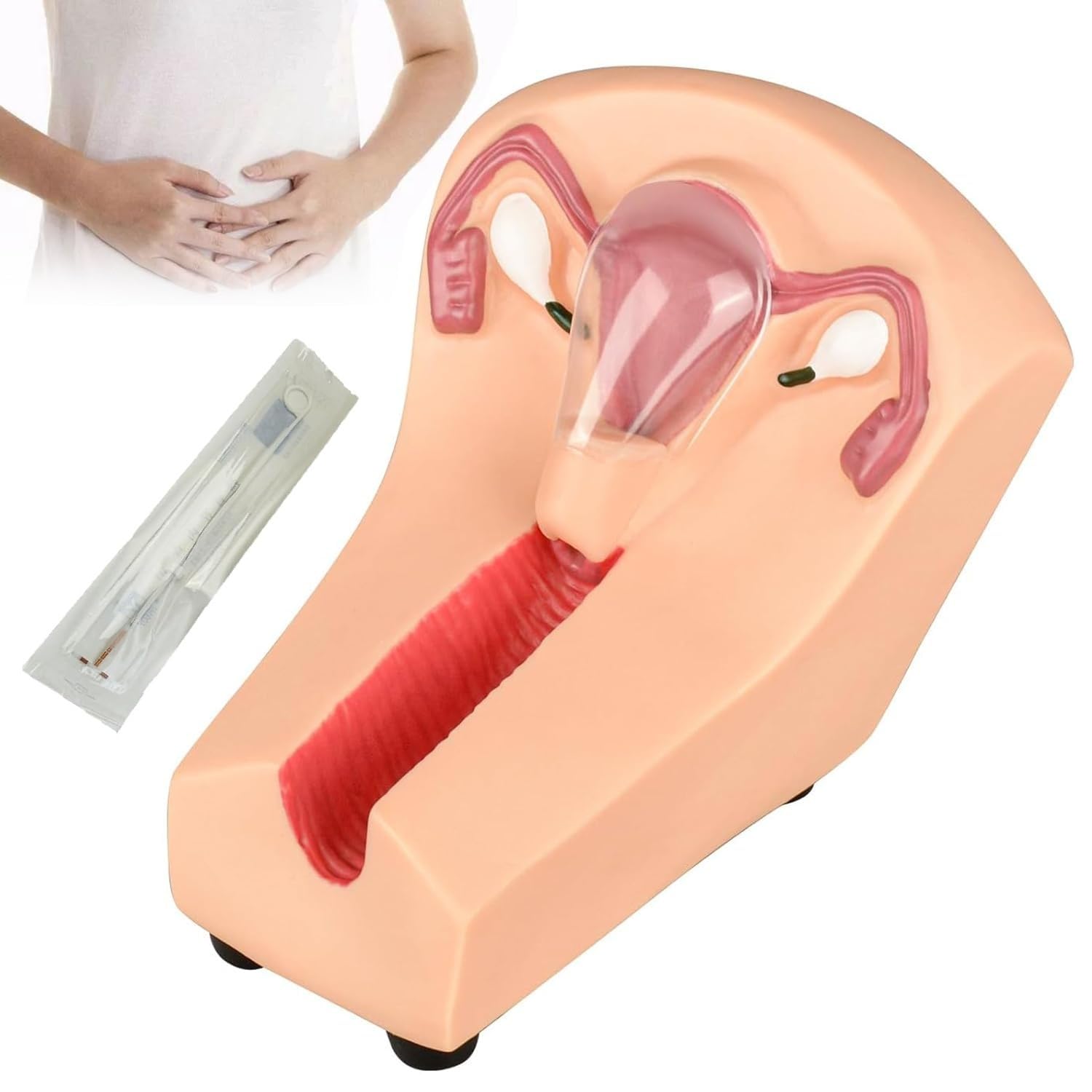 YNIYUJKL Female Uterine Internal Contraception Guidance Model, Intrauterine Contraceptive Training Model, Iud Simulator, For Gynecology Guide, Medical Nursing Practice