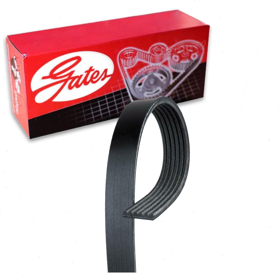 Gates Micro-V Serpentine Belt compatible with Mazda 3 2.0L L4 2013-2018