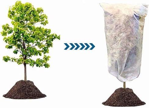 Agfabric Plant Covers Freeze Protection 1.2oz 72x72 Shrub Cover,Winter Tree Cover for Season Extension&Frost Protection,White