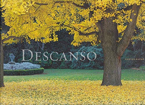 Descanso: An Urban Oasis Revealed