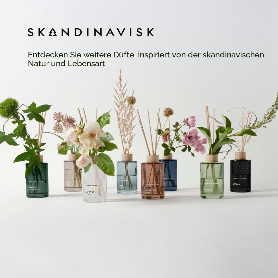 Skandinavisk HAV 'Meer' Duftstäbchen Diffusor mit 8 Stäbchen; Duftnoten: Salziges Sprühwasser (Gischt) und Seegras, Weißdorn und Strandrose, 100 ml.
