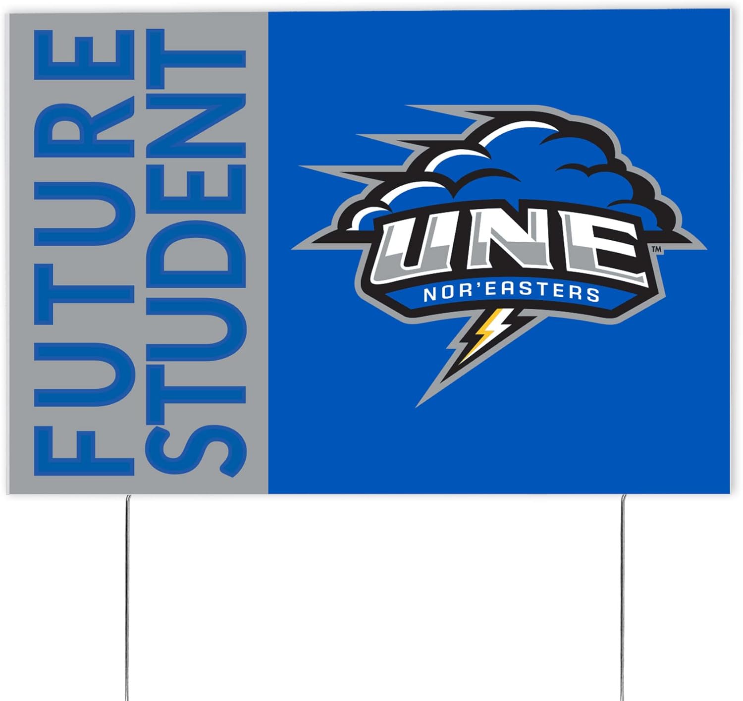 Desert Cactus University of New England Graduating Graduation Graduate Sign House 12 Inches x 18 Inches With Stakes (Grad Sign 4)