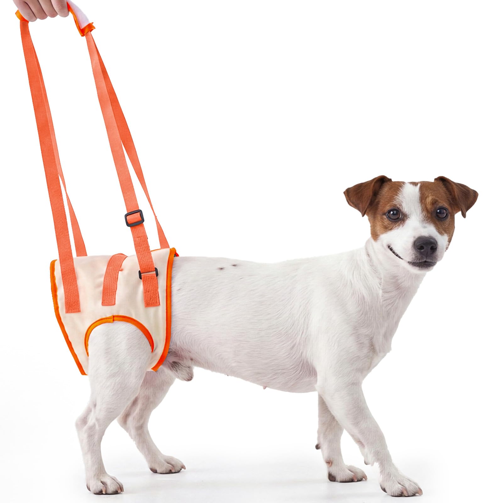 Photo 1 of Allroaring Dog Lift Harness for Small Medium Dogs, Adjustable Doggy Back Leg Sling to Help Walk and Rehabilitate,Soft Padded Pet Support Harness for Arthritic,Disabled,Senior,Injured,Orange,M